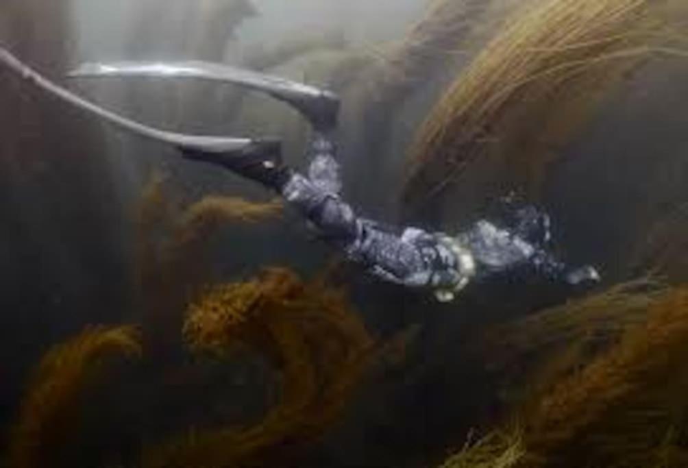 Gite Entre Mer Et Abers Landéda Dış mekan fotoğraf