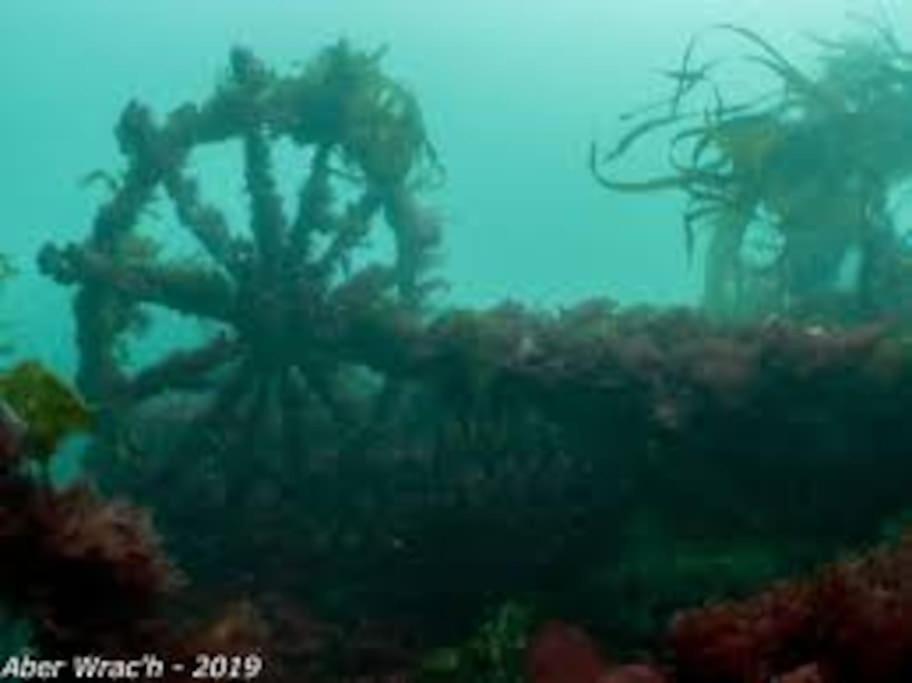 Gite Entre Mer Et Abers Landéda Dış mekan fotoğraf