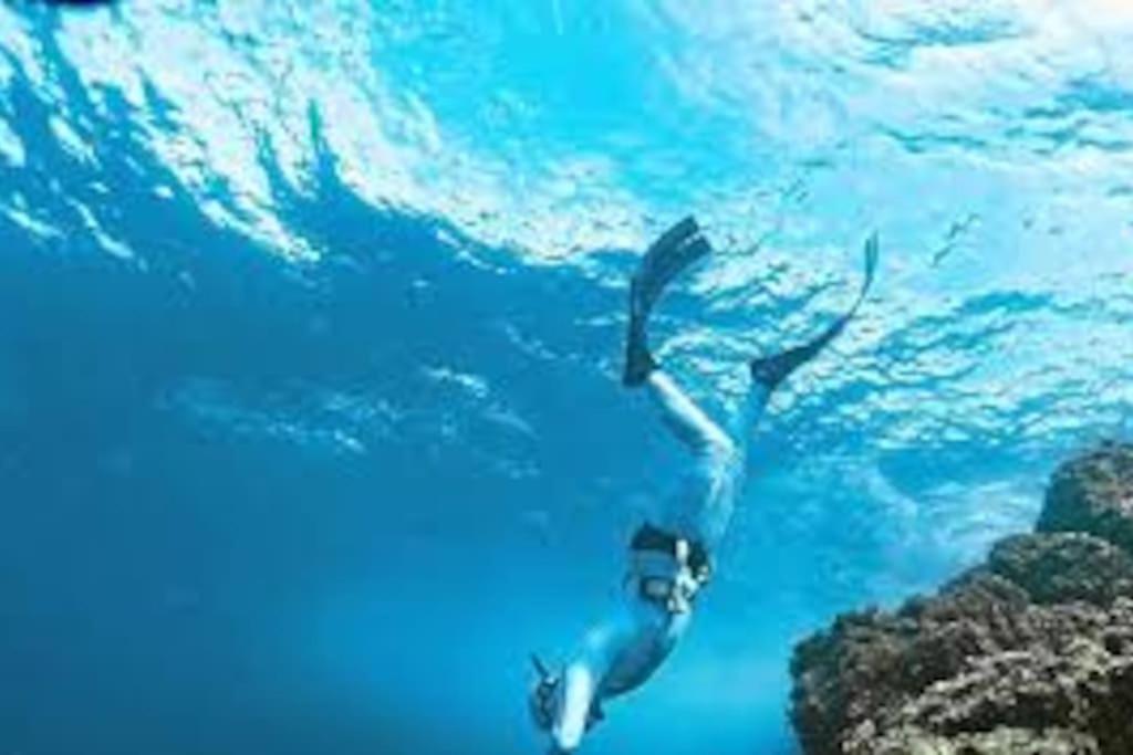 Gite Entre Mer Et Abers Landéda Dış mekan fotoğraf