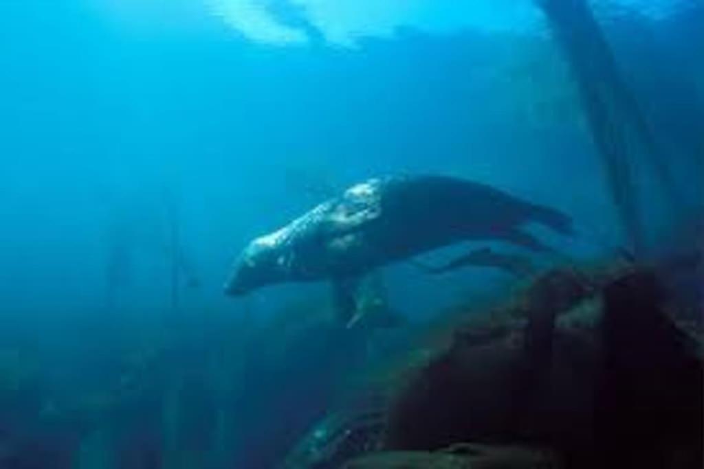 Gite Entre Mer Et Abers Landéda Dış mekan fotoğraf
